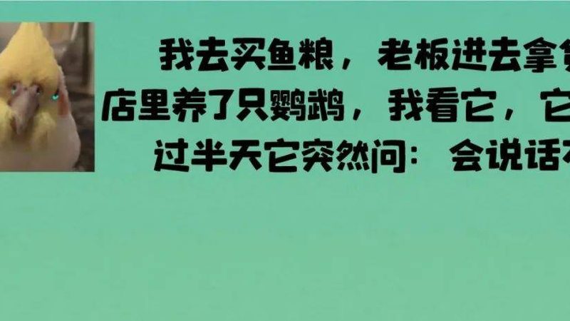 半成品速冻食品家用囤货推荐