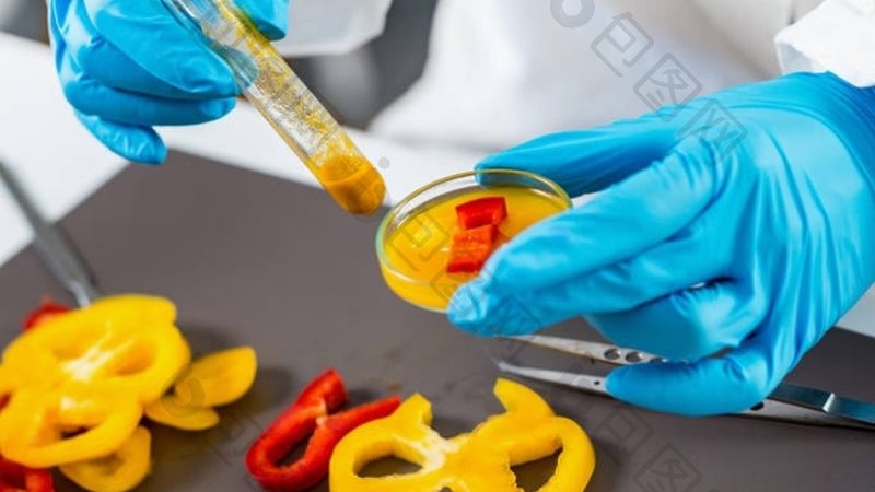 食品代加工：样品申请与正式订单的区别解析